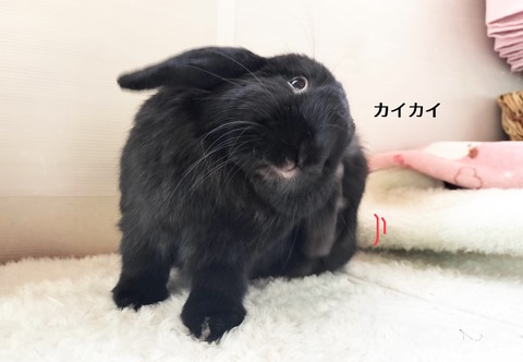 8D1DC6D6-69E5-4B49-9E4D-B567F5A2231B