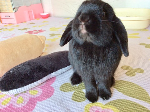 D169CE1C-956A-4AAF-BCF2-DD105D818E34