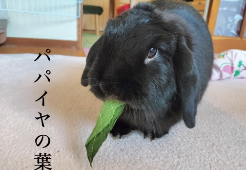 F2C27E35-4EC5-45FF-82CE-A083F0DABDB6