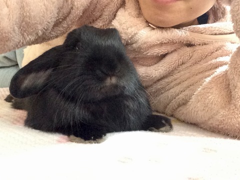 D530DA47-80FF-43C4-AAB7-E94FAD0C97FA