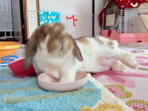 653831E7-238E-4954-B4B0-0621E3CD23BF