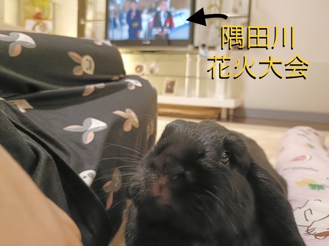 77DE328A-AD64-41F3-83D7-5E55148547AB