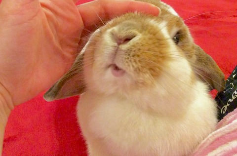 1A80D552-6280-4910-9CA2-92B5F2C117CB