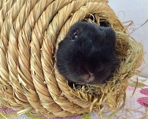 19801B6E-54BB-4B2E-8DB9-E549C80DB9CD