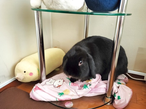 E86850E9-F873-4BDD-92A8-14429A5740B9