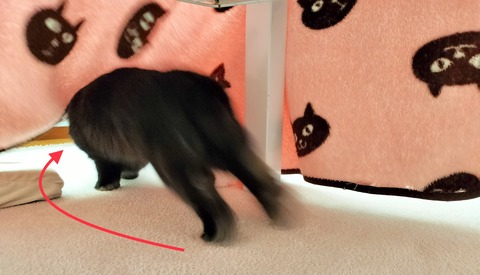 3E822C4A-BF2B-483A-8AE6-00D5954354BC