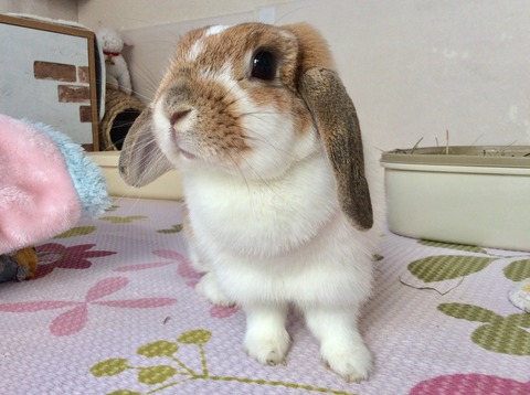 E71A376D-0EF3-4999-9ED1-B6BCE55D0606