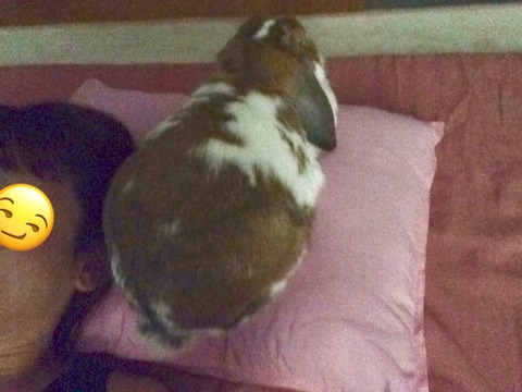 234D2592-B41E-4DF7-A5FE-0829268D27B4