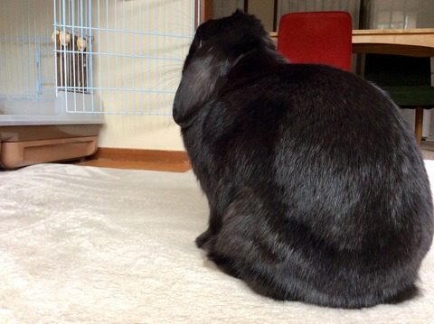 D24A164C-68DA-4634-AA14-A8717FB61001