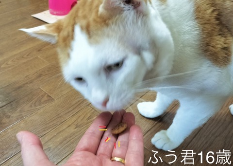 3BB11F95-BFC3-4126-BAC6-3E08DC7E7F3D