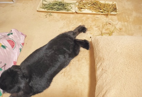 00AD542D-C73B-4171-B9F4-334159BB59D3