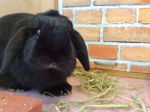 E6D2378B-3A74-4FB1-9E8E-C63487D79EA2