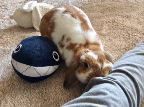 C22B6340-2791-4177-9045-332A483D46AA