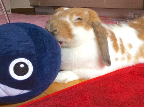 67C96D8C-3909-4455-BBBC-B7A4761B3261