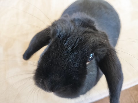 11E5FAA5-DAED-4900-8B07-D6D5CBBAA2CC