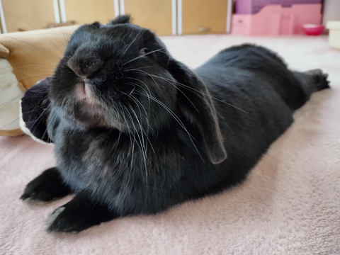 FC28730B-1AF8-421F-BCFA-1B6D03BE81CC