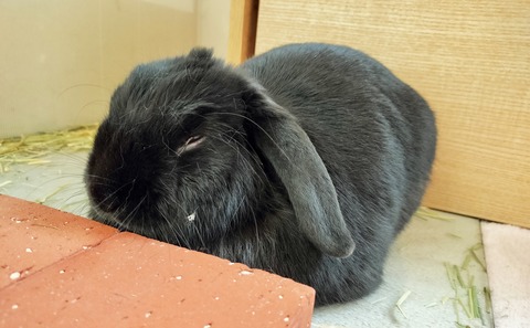 37529B51-A4FB-48B2-BFE7-F0DE5D91FF07