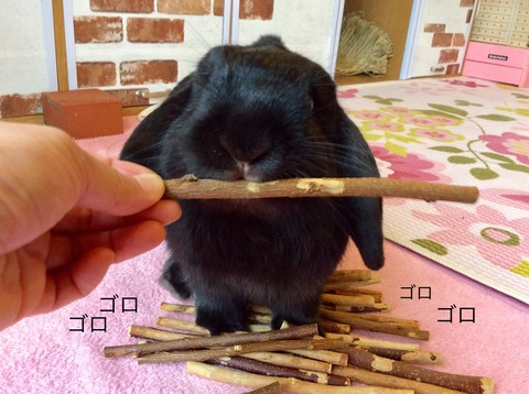 7B8A9E2F-5897-4AFB-916B-EE3C7C25970C