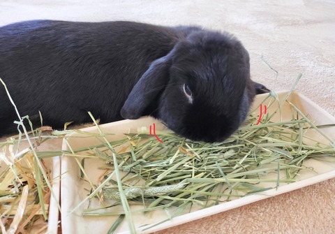 6715E8D0-5DB2-45A2-A58B-06986E8A2FE3