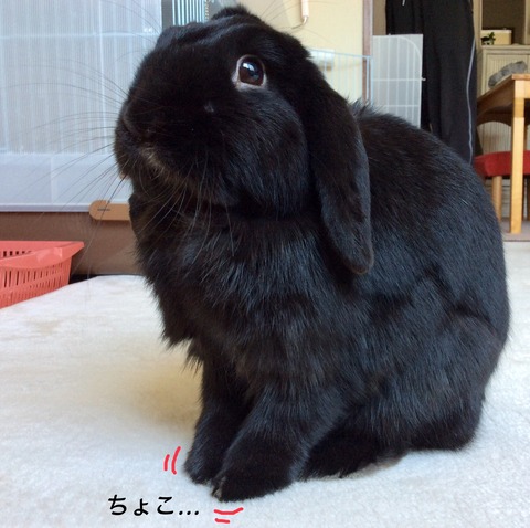 615ADAF0-1FD9-4072-9274-F01FEEB3DFA8