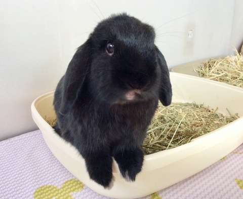 7A791570-F0AE-473B-BFCE-C3347EA224A9