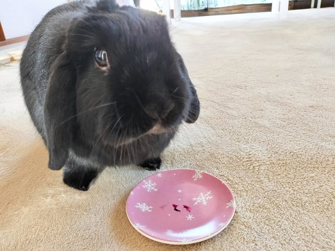 9AF877DE-2196-4CE1-ABC7-9F4FCA68CC90