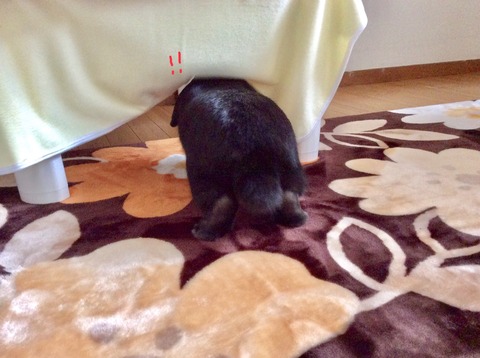 7FFFB81D-07DE-4D9B-B771-D6936081F922