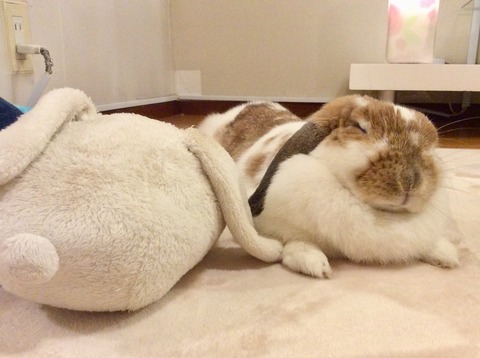 D1B516E7-E97A-438D-8665-EBF02E7AE909