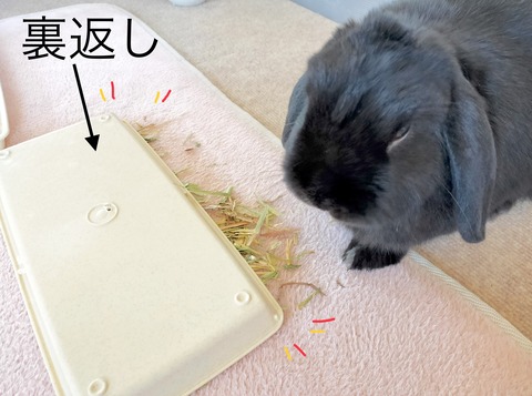 CB7F4D6F-A2BC-4E64-B053-A0E9294C81E0