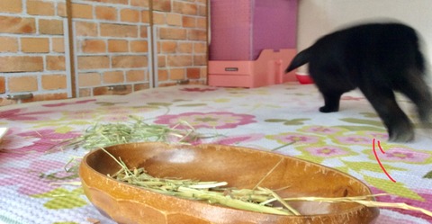 58EFAB6E-152D-49B1-9EBD-06961848C5A6