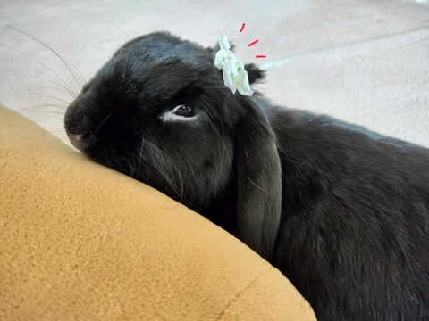 7AFFBCE1-E8F7-4AC4-9BF9-898D00D2F7DC