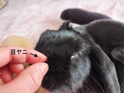 2F39F279-E61E-4489-9554-97367DC086BB