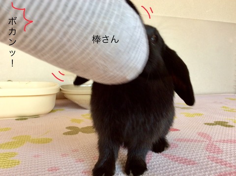 4263DAD4-C239-42DF-85D2-3D34C2694758