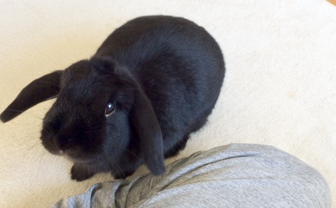 928335A8-6405-4A34-91CB-F8FC2E9901B3