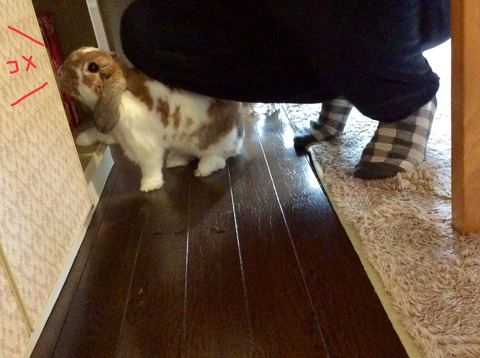 6CD42EF7-CFC3-4C6C-85DB-B1CEE1211656