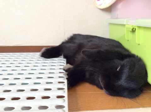 7F27F9B1-43B9-4FB6-8747-5D4E8F9F8124