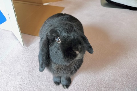 95503F1B-07E3-459C-BEEA-0BD0A75D275C