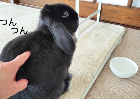 73FCC6DE-56DA-4816-B2CE-CDDDA1CB5E54