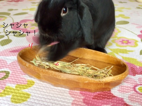 BC50E968-EA99-4517-8D85-99B566EF1858