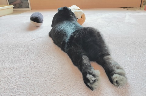 7750B1B6-7CB7-41B9-AEC7-BADBE6F4E418