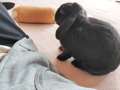 61C29BD3-433C-4375-B3C3-D0206E8BB68F