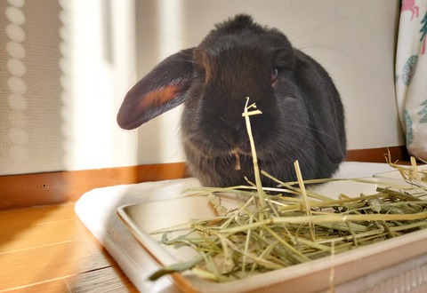 4834A4FA-B246-4CE6-AB0F-3E14AD0BC224