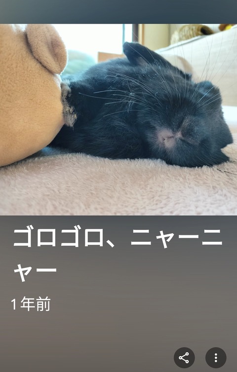 2A29A795-F0AD-4263-ADE0-4606EFC0FF1B