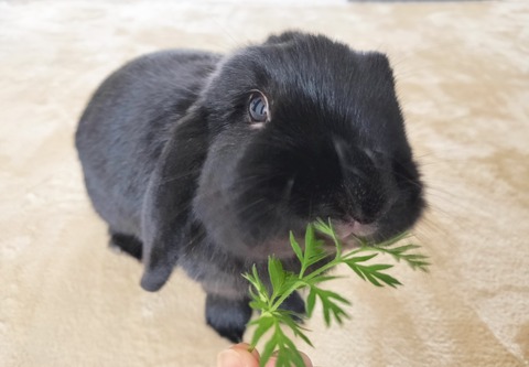 AF6CEE65-5E51-449A-8F6C-536D31B1304E