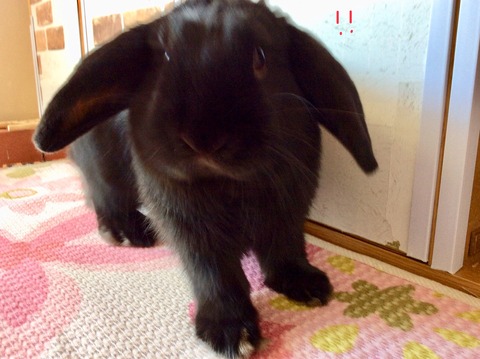 71AED0D9-67E3-4857-8473-CD9B2F299E8E