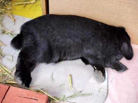 9178603E-E453-490C-A32A-0545ACEE10E1