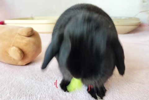 60994C4E-D0E7-4E33-A9F8-B520E3F94F2E