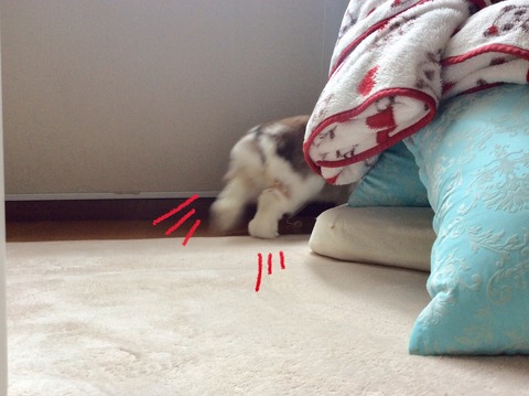 84A969DF-5241-44BD-A226-512E06571075