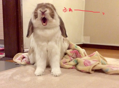 7BAD318B-F4F9-409A-8509-A71368561AFE