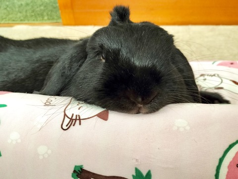 DEB0936D-AE4B-4F7A-8353-75857723E00A